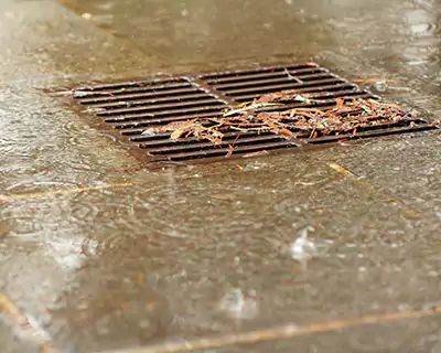 Drainage Solutions, Bloomington, MN