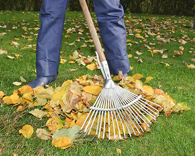 Custom Landscaping, Twin City's Metro area Custom Landscaping, Twin City's Metro area