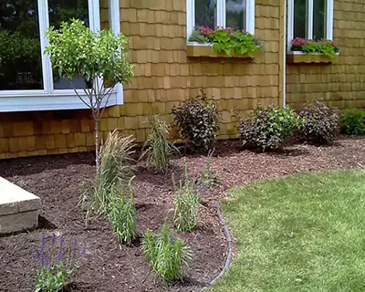 Custom Landscaping, Twin City's Metro area